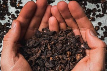 Cascara